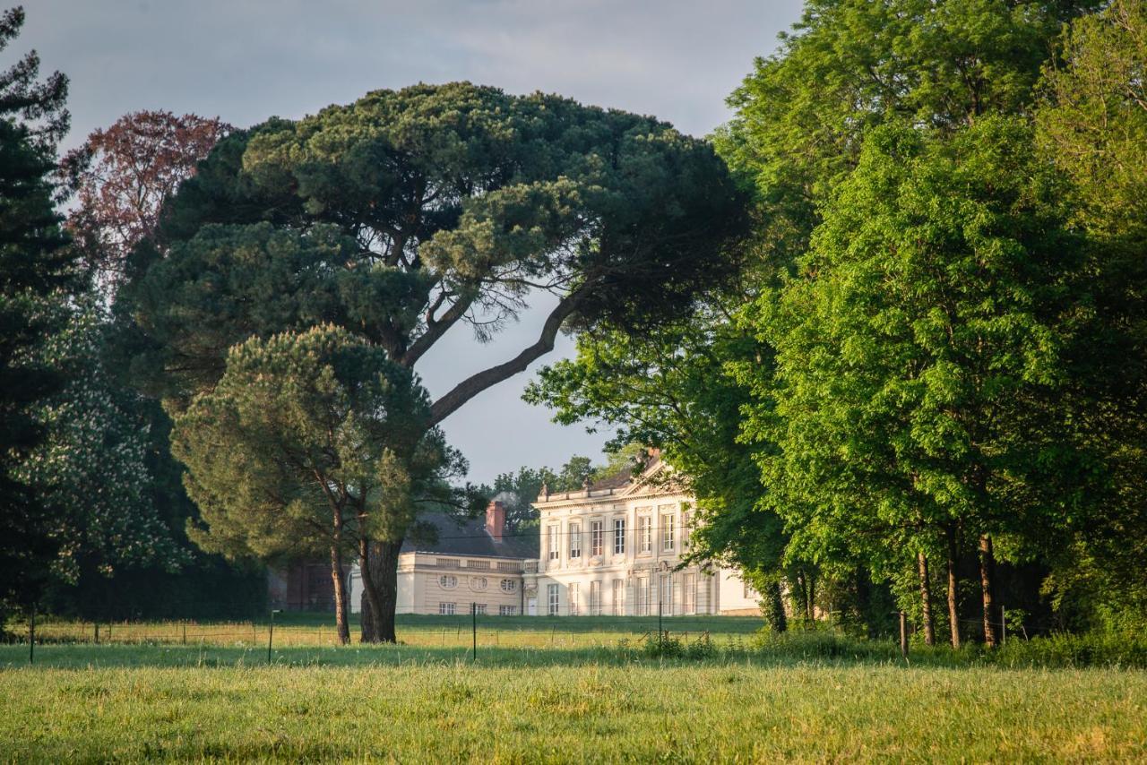 Chateau De Craon Bed and Breakfast Craon  Esterno foto